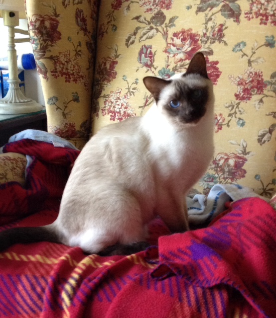 photo-2-57