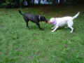 img-20110617-001061
