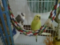 img-20110731-003081