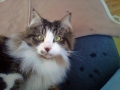 img-20120122-007251