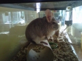 img-20120209-000941