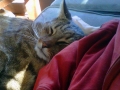 img-20120227-002481