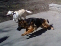 img-20120305-00317