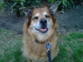 img-20120329-00408