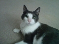 img-20120625-00643